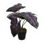 SMALL PLANT W/5 LEAVES IN POT 34CM LAVENDER GREEN