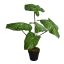 MEDIUM PLANT W/5 LEAVES IN POT 55CM GREEN