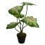 MEDIUM PLANT W/5 LEAVES IN POT 55CM YELLOW GREEN