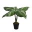 LARGE PLANT W/5 LEAVES IN POT 49CM POTHOS