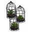 SUCCULENT IN CAGE DIA 10 H 16.5 CM ASSORTED