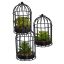 SUCCULENT IN CAGE DIA 11.5 H 20 CM ASSORTED