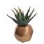 SUCCULENT IN GOLD CEMENT POT 18CM GOLD