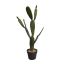 CACTUS IN POT 84CM GREEN