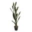 CACTUS IN POT 143CM GREEN