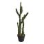 CACTUS IN POT 85CM GREEN
