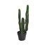 CACTUS W/4 HEADS IN POT 63CM GREEN