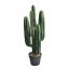 CACTUS W/5 HEADS IN POT 77CM GREEN