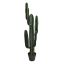 CACTUS W/6 HEADS IN POT 117CM GREEN