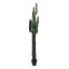 CACTUS W/7 HEADS IN POT 200CM GREEN
