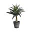 AGAVE IN POT 41CM GREY