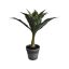 AGAVE IN POT 42CM GREY