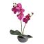 ORCHID X 2 IN PLASTIC POT H 35CM LAVENDER