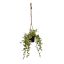 SMALL LEAVES IN HANGING POT LIGHT GREEN