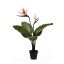 SMALL BIRD PARADISE PALM 6LVS 2FLS 72CM GREEN