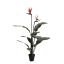 MEDIUM BIRD PARADISE PALM 9LVS 2FLS 100CM GREEN