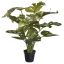 PLANT W/14 LVS IN POT SPLIT PHILO 55CM MARBLE