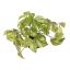 HANGING BUSH IN POT 22CM POTHOS