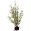 MOSS BASE BAMBOO 65CM GREEN