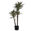 YUCCA PLANT 95CM GREEN