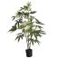 ARALIA PLANT 95CM GREEN