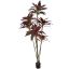 DRACEANA PLANT 210CM RED