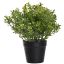 PLASTIC LEAVES IN POT 20CM GREEN
