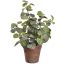 LEAVES BUSH IN POT 32CM GREEN