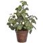 LEAVES BUSH IN POT 38CM GREEN