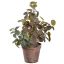 LEAVES BUSH IN POT 38CM GREEN PINK