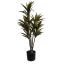 DRACENA PLANT 90CM IN POT GREEN