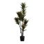 DRACENA PLANT 125CM IN POT GREEN