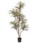 DRACENA MARGINATA 150CM GREEN