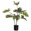 FLOOR PLANT 75CM SELLUM PHILO