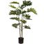 FLOOR PLANT 135CM SELLUM PHILO
