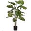 FLOOR PLANT 135CM SPLIT PHILO