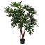 PHILODENDRON SELLOUM TREE 150CM GREEN