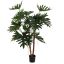 PHILODENDRON SELLOUM TREE 150CM GREEN