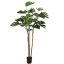 SPLIT PHILO PLANT 210CM GREEN
