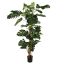SPLIT PHILO PLANT 200CM GREEN