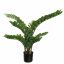ZAMIFOLIA PLANT X 9 70CM GREEN
