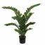 ZAMIFOLIA PLANT X 15 100CM GREEN