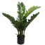 SMARAGD PLANT 70CM GREEN