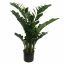 SMARAGD PLANT 90CM GREEN
