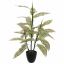 SPECKLE PLANT 75CM GREEN