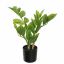 ZAMIFOLIA PLANT 33CM GREEN