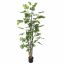 SPLIT PHILO PLANT 180CM GREEN