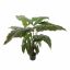 ALOCASIA PLANT 90CM GREEN