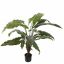 ALOCASIA PLANT 100CM GREEN