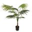 MOUNTAIN PALM 100CM GREEN